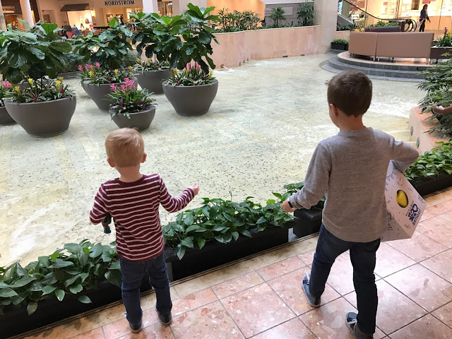 Boys standing at indoor fountain 