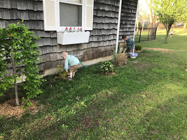 Brother hunting Easter eggs 