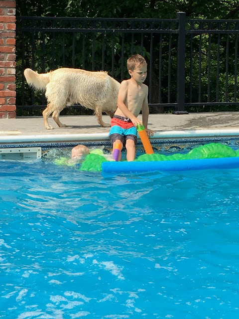 Young boy and dog swimming pool 