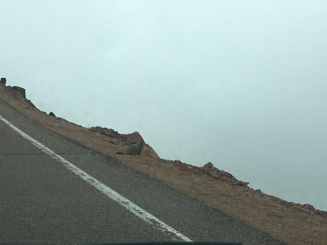 Road's edge Pike's Peak 