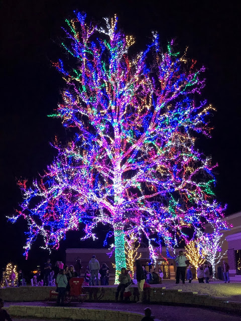 December Recap: Magic Tree with thousands of Christmas Lights 