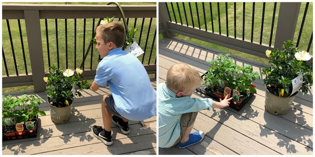 Little boys planting flowers for Mother's Day 