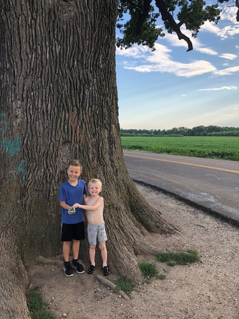 Brothers at the Big Tree in Missouri 