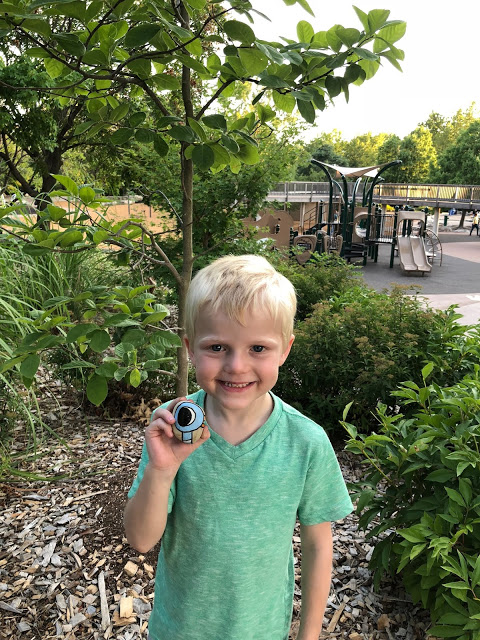 Little boy found painted rock at park 