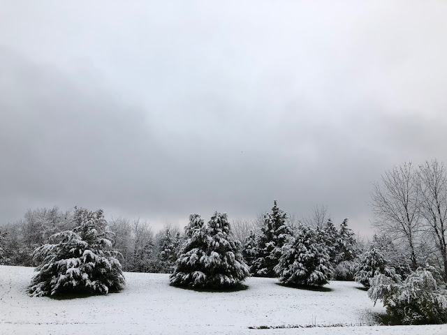 Year in Review: Snow in November in Missouri 