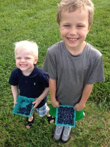 Little brothers picking blueberries