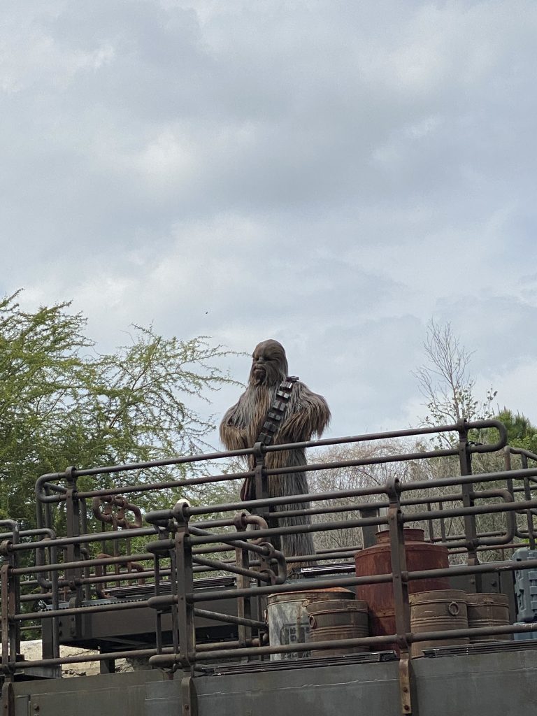 Disney Hollywood Studios 2021 Chewbacca