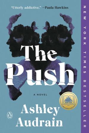 The Push by Ashley Audrain 