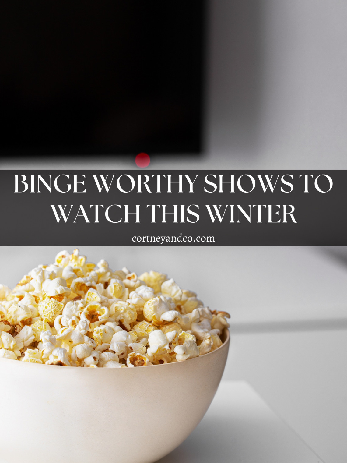 Binge Worthy Shows to Watch This Winter